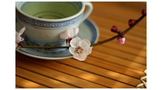 ツ】ઇ   ઇ【ツ cup-of-green-tea.jpg